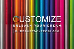 ジャイアント／Liv　カスタムペイントプログラム