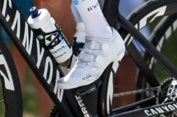 ヴェント・ベガ・カーボン