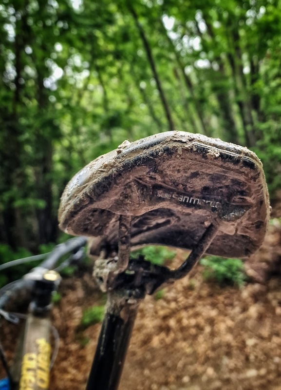 サンマルコ・シールド