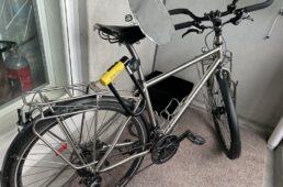 lizukiさんのバイク