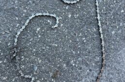 切れたチェーン