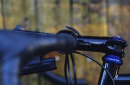 ノグ・オイ プリマ