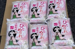 QNリーグ2025-2026シーズン第4戦、第5戦