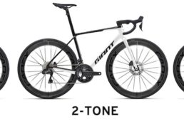 ジャイアント／Liv　カスタムペイントプログラム