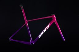 ジャイアント／Liv　カスタムペイントプログラム