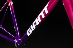 ジャイアント／Liv　カスタムペイントプログラム