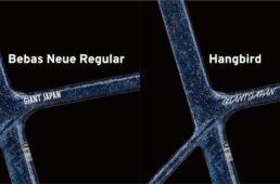 ジャイアント／Liv　カスタムペイントプログラム