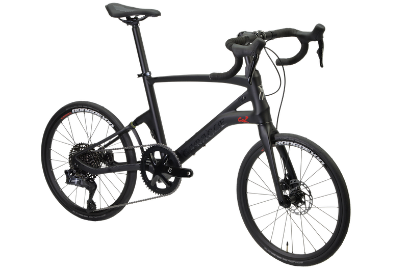 カラクル・コージー クォート