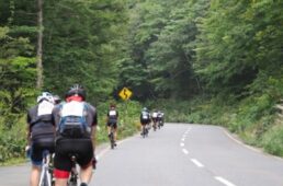 自転車協会　しくじりサイクリスト