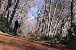 自転車協会　しくじりサイクリスト