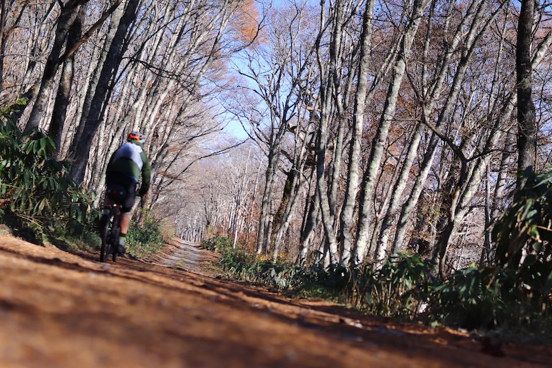 自転車協会　しくじりサイクリスト