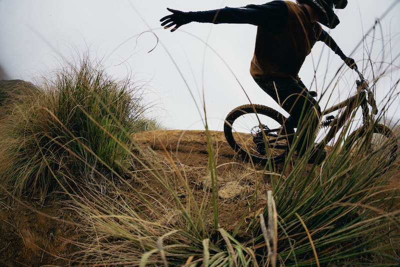 スペシャライズド2025.8新色