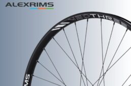 アレックスリムズ　マウンテンバイク用ホイール３モデル