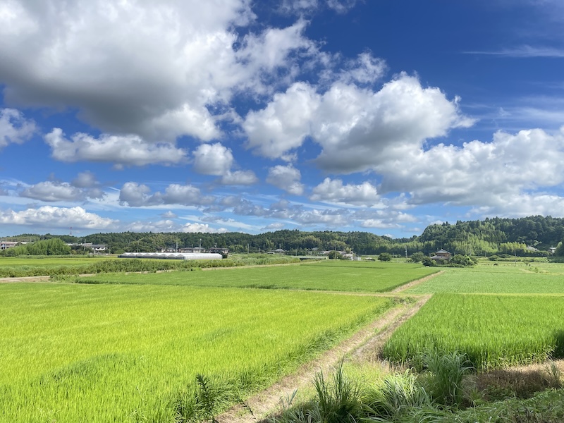 Beach Flow Ride イベント