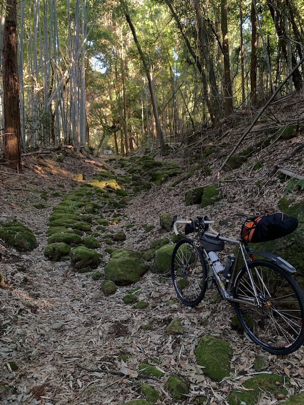 ミューラー オンリーワンバイク