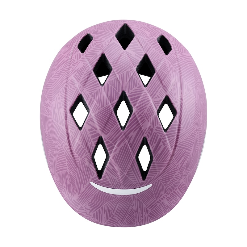 カブト・ホッコ