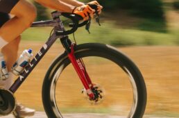 ルディーXLアルティメイト