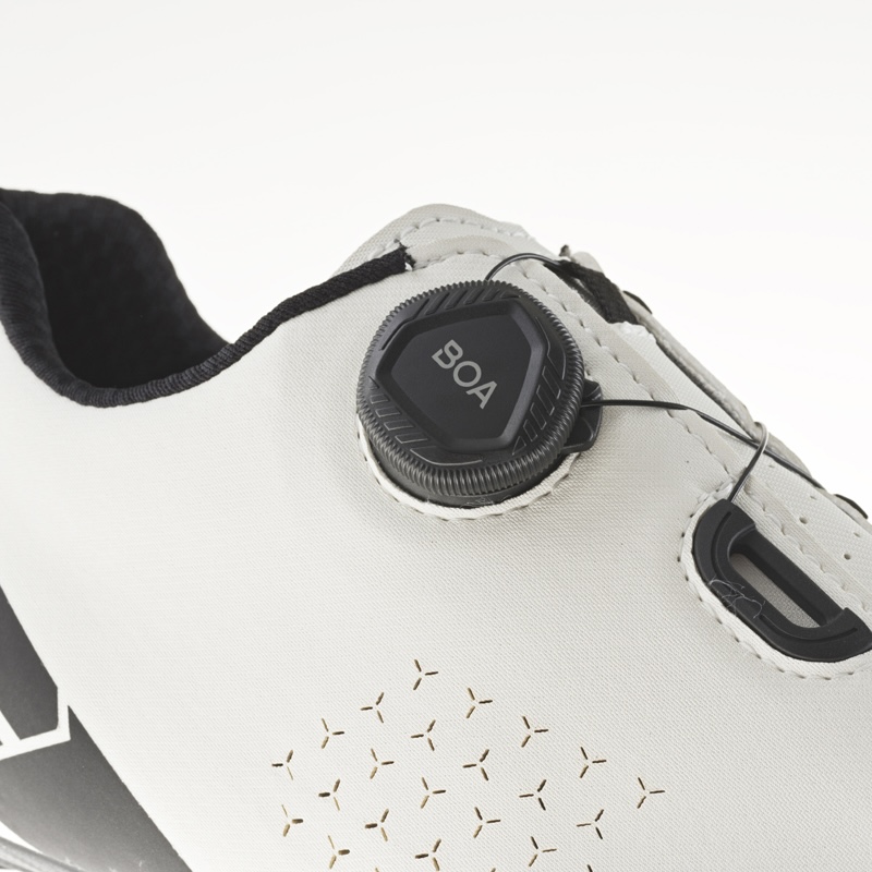 Gスプリントプラス