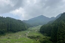 鞍掛山と四谷の千枚田