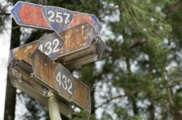 苔むした案内標識