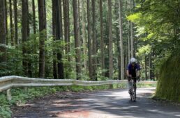 極楽峠を目指す