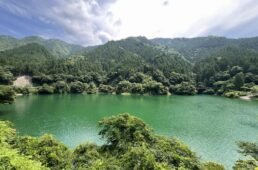 ヤッホーポイント