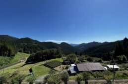 茶善一からの眺め