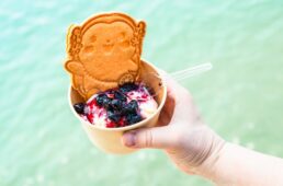 かみりんサブレ添えアイス