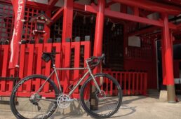 ミューラー×ゴキソ