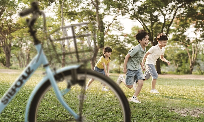 ブリヂストンサイクル ステップクルーズジュニア