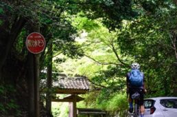 寺の中の山の辺の道