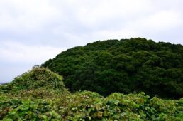 崇神天皇陵とされる前方後円墳