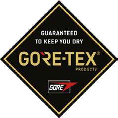 フィジーク・テラ・アルティカ GTX