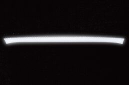 パールイズミ2025プレミアム サミット