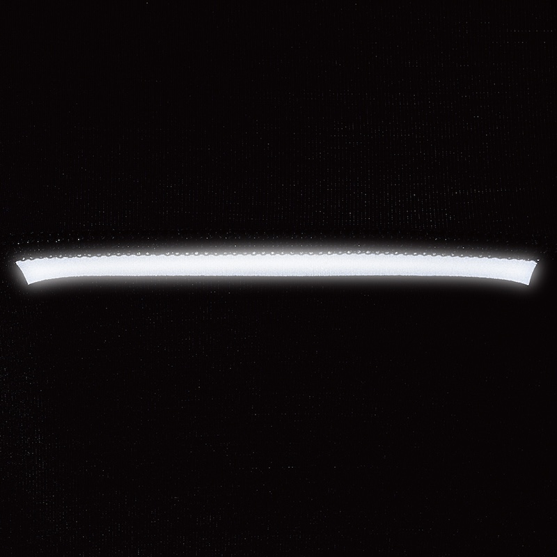 パールイズミ2025プレミアム サミット