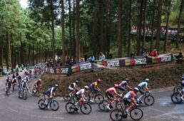 ラファ「POP UP UTSUNOMIYA」