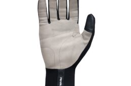 パールイズミ2025プレミアム サミット