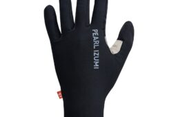 パールイズミ2025プレミアム サミット