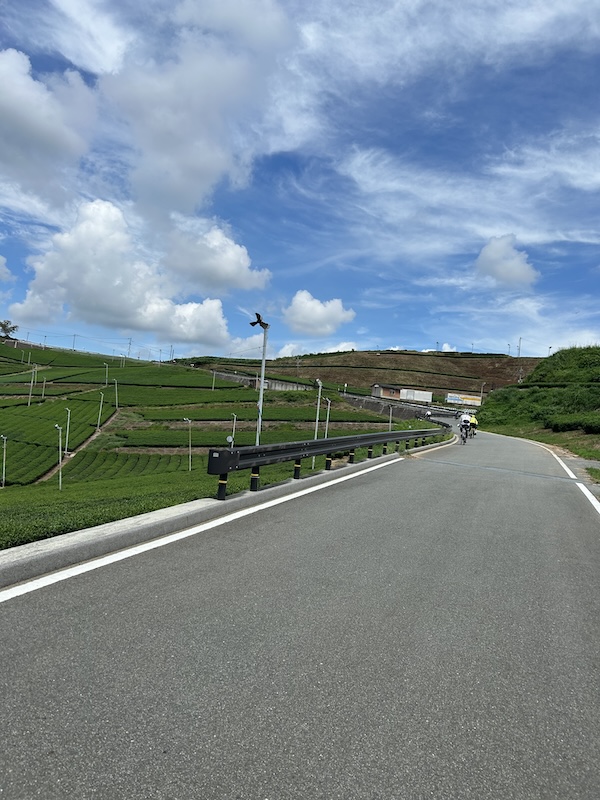 猪野学 ネオ坂バカ奮”登”記 第48回