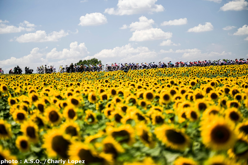 UCI World Ranking 2025