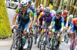 ジャパンカップ2025　新城／留目