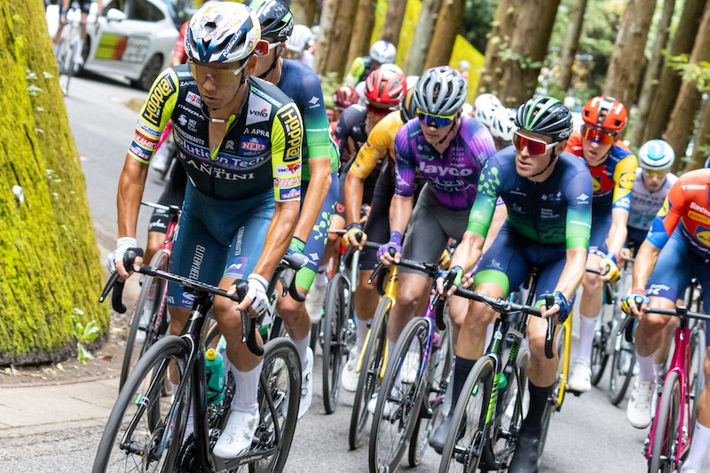 ジャパンカップ2025　新城／留目