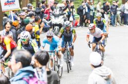 ジャパンカップ2025　新城／留目