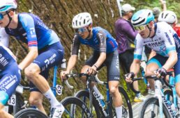 ジャパンカップ2025　新城／留目