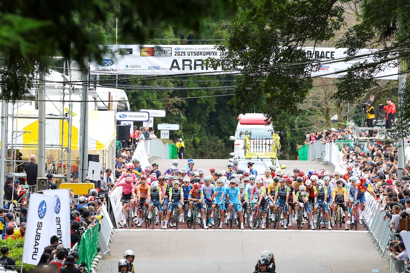 ジャパンカップ2025　新城／留目