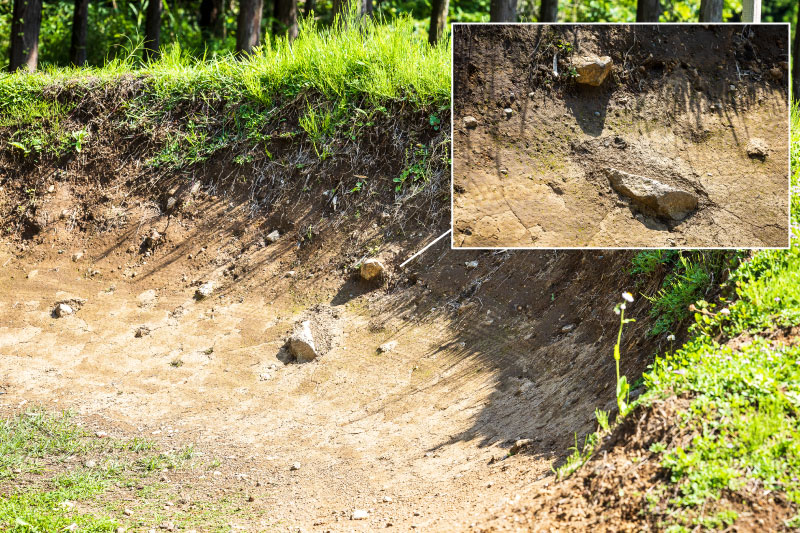 バームの中にある障害物