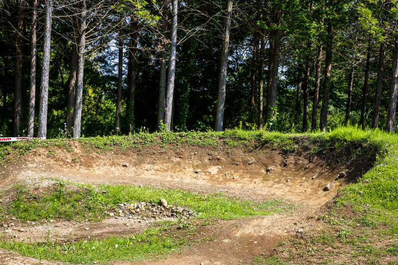 全部立っているバーム