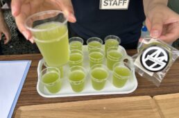 猪野学 ネオ坂バカ奮”登”記 第48回