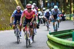 ラファ「POP UP UTSUNOMIYA」