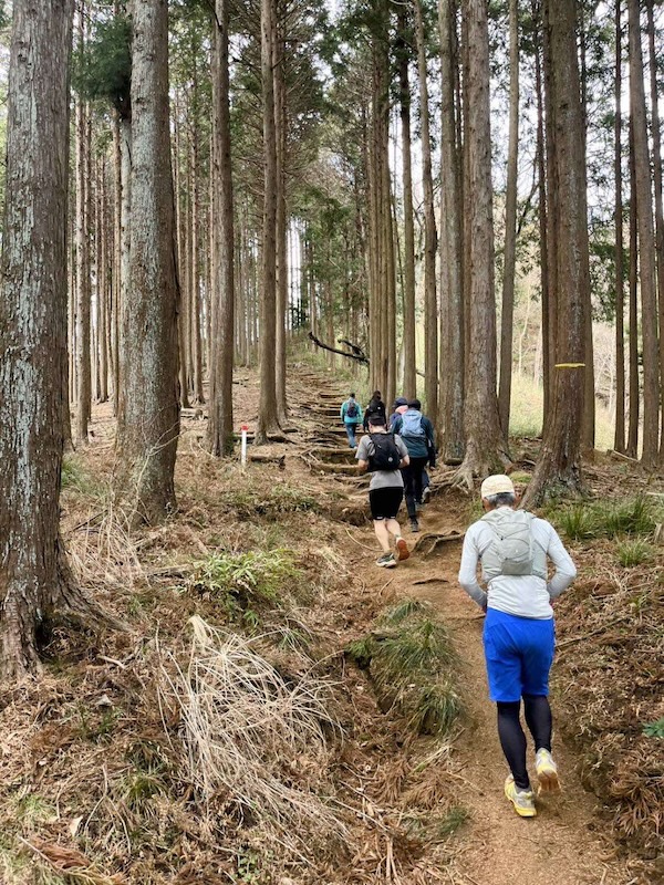 丹沢アウトドアオープンゲート